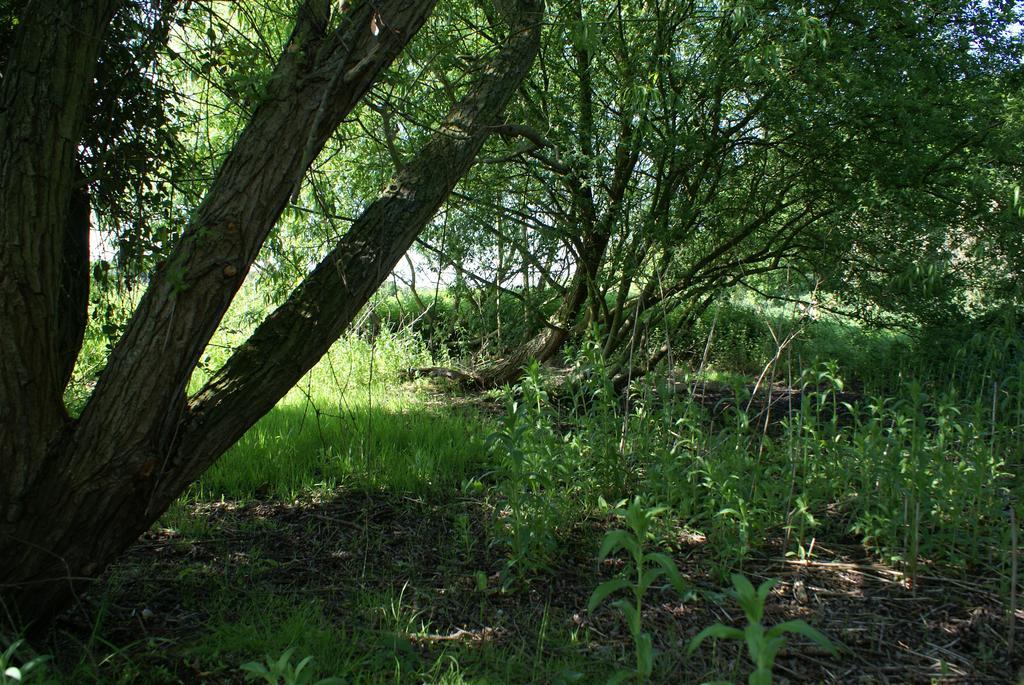 Apartamento Watercress Barns Sittingbourne Exterior foto